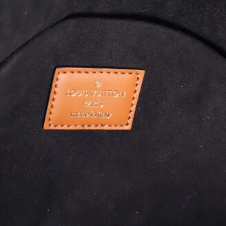 Louis Vuitton Felicie Strap and Go Handbag Wild at Heart Monogram Giant at  1stDibs