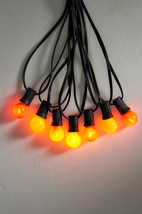 Stargazer Garden Lights