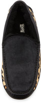 Thumbnail for your product : UGG Ascot Calf-Hair Leopard Printed Slipper, Black