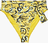 Thumbnail for your product : Diane von Furstenberg Anais belted printed high-rise bikini briefs
