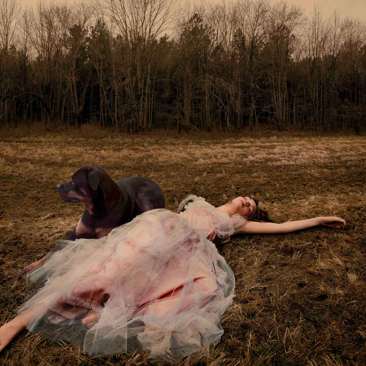 Tom Chambers, Prom Gown #1, 2005