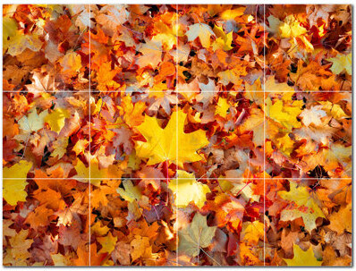 Picture-Tiles.com Autumn Photo 4.25'' x 4.25'' Satin Ceramic Decorative Mural