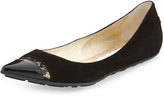 Thumbnail for your product : Jimmy Choo Ginny Pointed-Toe Ballerina Flat with Lace, Black
