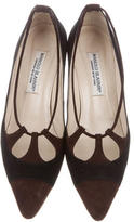 Thumbnail for your product : Manolo Blahnik Suede Pointed-Toe Pumps
