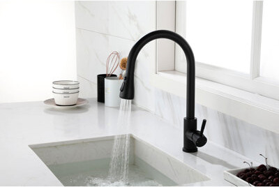 Wrought Studio Pull Out Spray Kitchen Faucet Matte Black Finish On Stainless Steel 360 Rotatable Nozzle Single Handle For Convenient Water Delivery And Temperatur