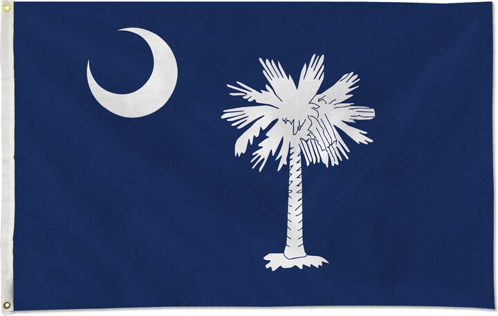Rico Industries South Carolina State Flag 3ft x 5ft Flag Made of Polyester, EZ Hang Indoor/Outdoor Flag
