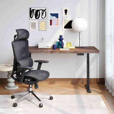 OdinLake L1 (Ergo UPGRADE 518) | Ergonomic Office Chair