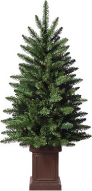 Haute Decor 3.5 Foot Berkley Fir Tree, Unlit in Brown Pot