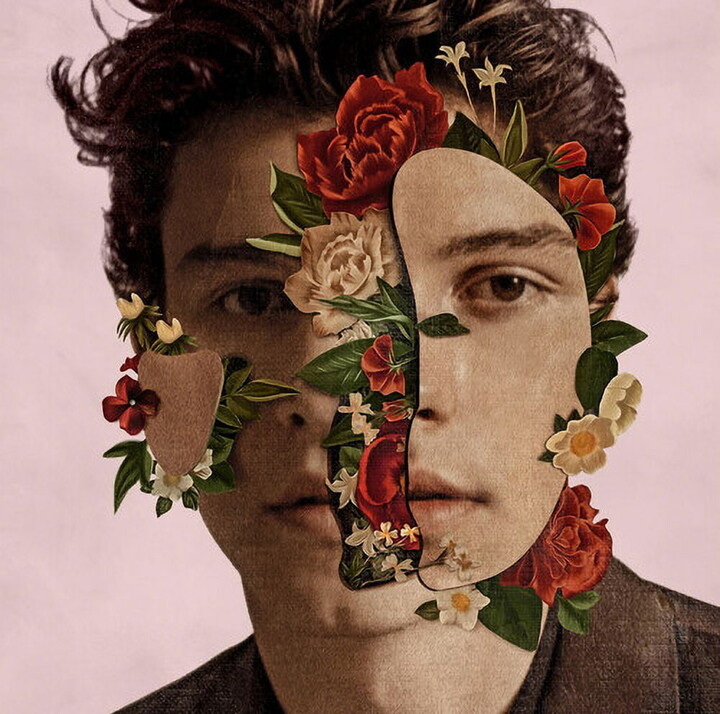 Island Heritage Shawn Mendes - Shawn Mendes - Music & Performance - CD