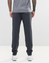 Thumbnail for your product : The North Face Slim Joggers With TNF Logo In Gray