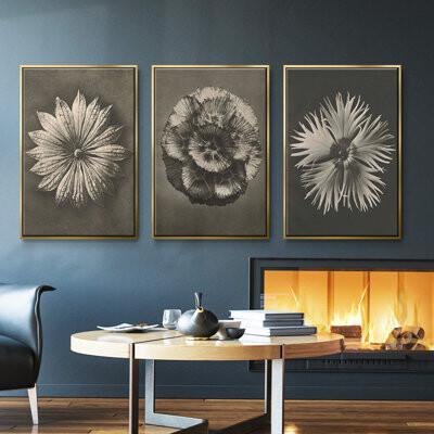 Wexford Home Blossfeldt Flower II Framed On Canvas 3 Pieces Set