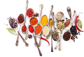 Hokku Designs Various Spices Spoons - Wrapped Canvas Photograph