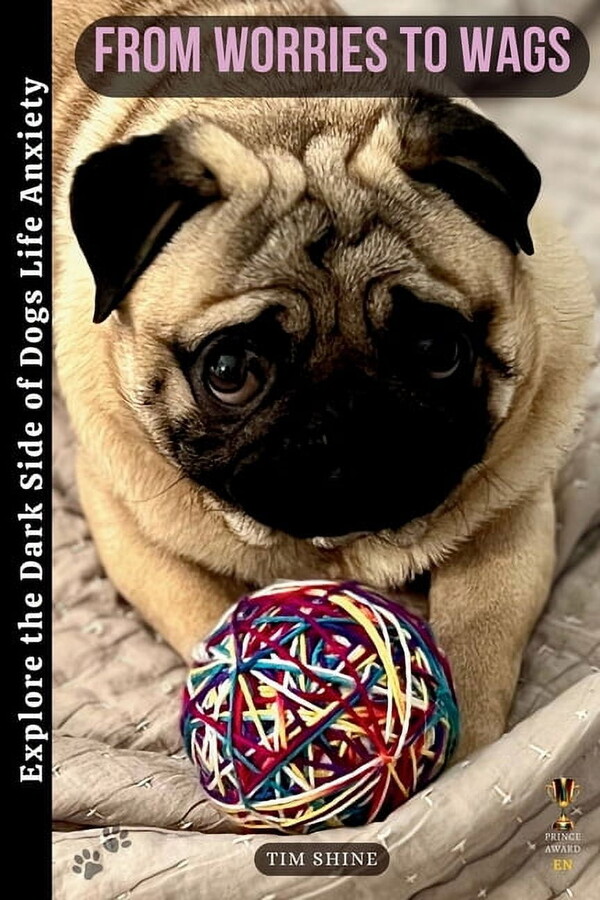 From Worries to Wags: Explore the Dark Side of Dogs' Life (Paperback)