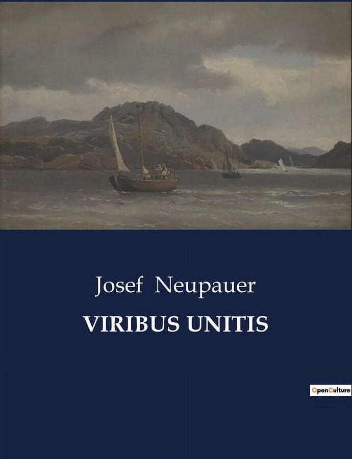 Viribus Unitis: Strategien zur EinfÃ¼hrung europÃ¤ischer Kultur in Bosnien, (Paperback)