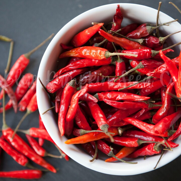 Thai Chili | Op/Heirloom/Organic Birds Eye Chili, Indonesian Asian Cili Padi, Kanthari, Heirloom Chili Seeds