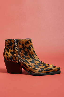 sam edelman walden leopard