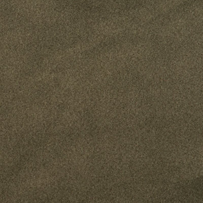 Wooded River Comfy Olive Fabric