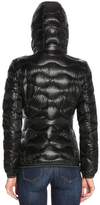 Thumbnail for your product : Blauer Jacket Jacket Women