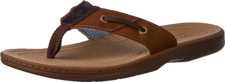 sperry men's baitfish thong sandal