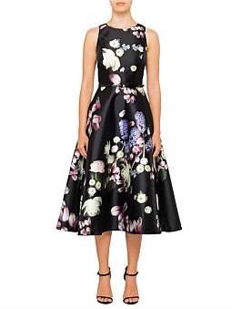 Ted Baker Rosa Kensington Floral Full Skirt Dress