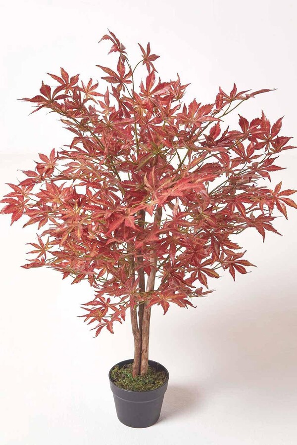 Homescapes Acer Tree in Pot, 90 cm Tall ShopStyle Decor