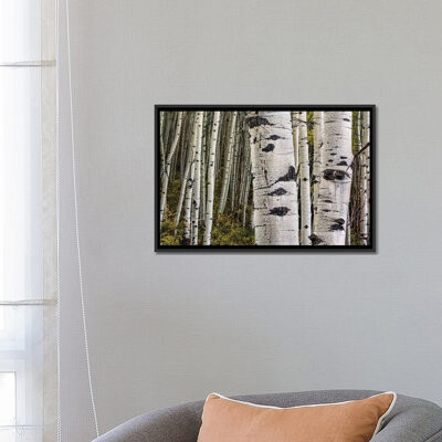 East Urban Home 'Trunks' By Bill Sherrell Graphic Art Print on Wrapped Canvas