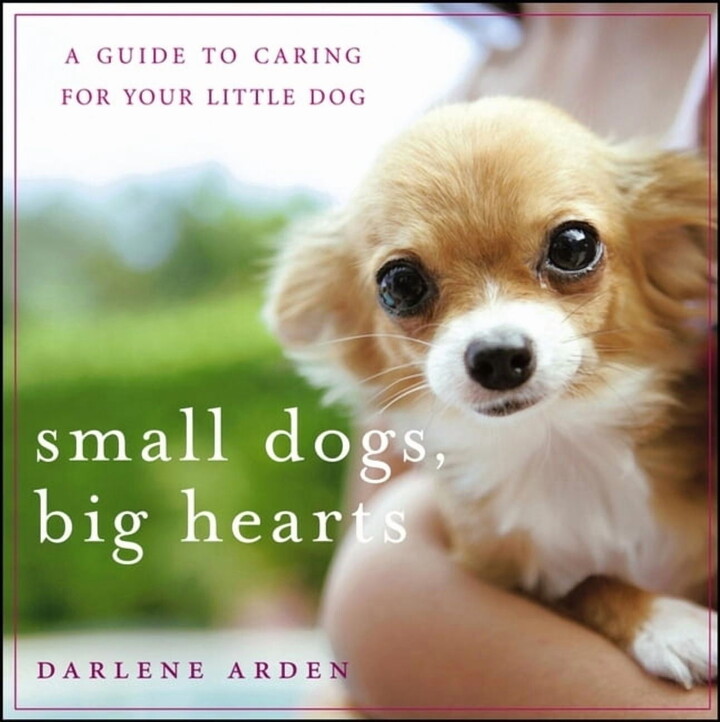 Small Dogs, Big Hearts: A Guide to Caring for Your Little Dog, (Paperback)