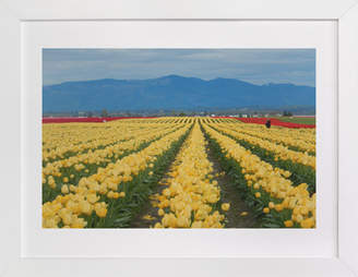 Minted Carpet of Tulips Art Print