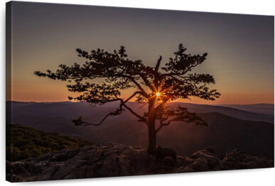 Lark Manor Harnek Blue Ridge Sunset