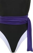Thumbnail for your product : BRIGITTE Panelled Swimsuit