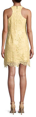 Eliza J Embroidered Lace Sleeveless Shift Dress