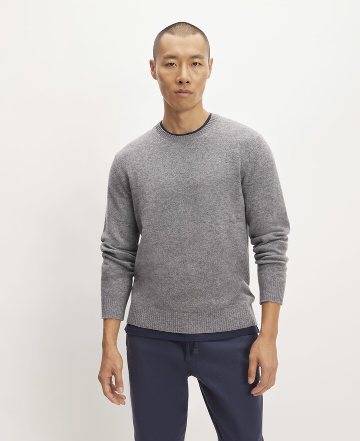 Everlane The Premium Merino Crew Neck Sweater