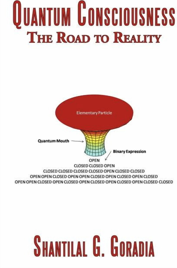 Quantum Consciousness: The Road to Reality (Paperback)