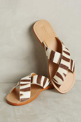 Mystique Zebra Slide Sandals