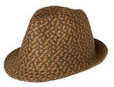 Thumbnail for your product : Gymboree Straw Fedora