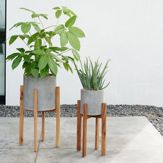 west elm Modern Wood Leg Standing Planter - Cylinder west elm Modern Wood Leg Standing Planter - Cylinder