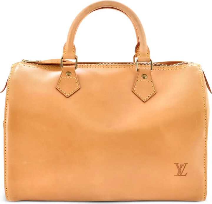 Louis Vuitton Pre-Owned Speedy Handbag Nomade Leather 30 satchel