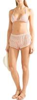 Thumbnail for your product : Eberjey Morgan Printed Voile Shorts
