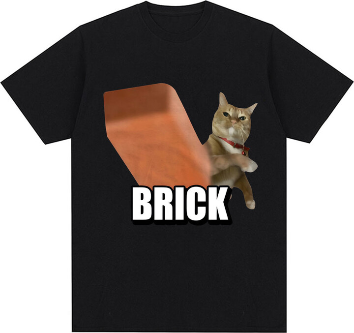 Dshztooma Funny Cat Throwing Brick Meme Graphic T-shirt Men Women Fashion Humor T Shirts Oversized Cotton Casual Summer T Shirt Streetwear