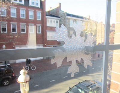 WallPops! Mikado Static Film Window Decal