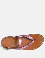 Thumbnail for your product : Coach Hudson Sandal