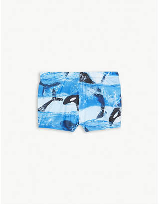 Molo Nansen Orca swim shorts 3-24 months