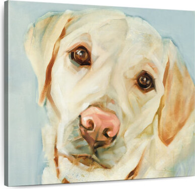 Ebern Designs Crowle Retriever Stare