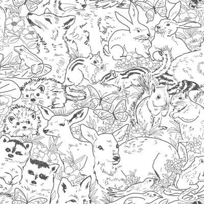 Room Mates RoomMates Woodland Sketch Peel & Stick Wallpaper in White/Black