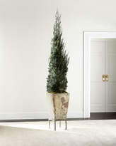 Thumbnail for your product : John-Richard Collection Brodie Cedar Faux Greenery