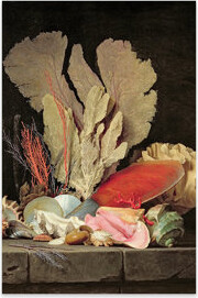 Highland Dunes Seaweed Lithophytes And Seashells On Plastic / Acrylic by Anne Vallayer-Coster Painting