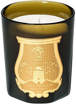 Cire Trudon Ernesto Bougie classic scented candle