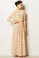 Thumbnail for your product : Anthropologie Paper Crown Peach Blossom Maxi Dress