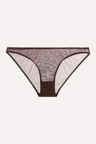 Thumbnail for your product : Les Girls Les Boys - Zebra-print Stretch-tulle Briefs - Burgundy