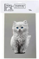 Thumbnail for your product : Garudio Studiage Cardboard Flat Pet White Kitten